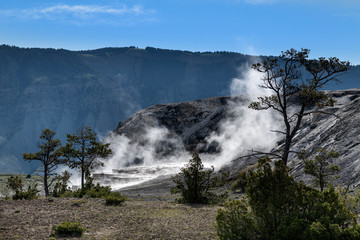 Lower Terrace Mammoth Hot Springs, Yellowstone
