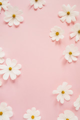 Fototapeta na wymiar Minimal styled concept. White daisy chamomile flowers on pale pink background. Creative lifestyle, summer, spring concept. Copy space, flat lay, top view.