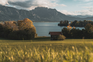 View over the lake "Forggensee"
