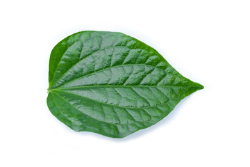 Green leaf isolated on white background