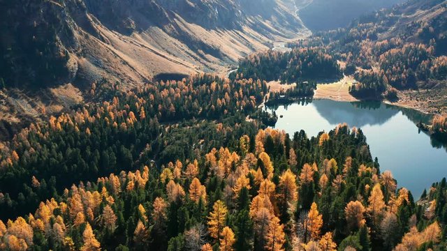 Aerial 4K - Engadina (CH) - Maloja Pass - Lake Cavloc and Forno valley - Autumnal view