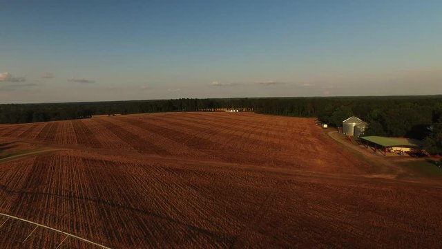 Corn field in Georgia, wide aerial