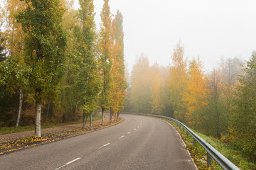Fototapeta premium Empty asphalt road and trees in autumn colors
