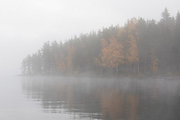 Lake scape and opposite shore forest at dawn