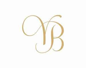 VB BV Letter Logo Icon 002
