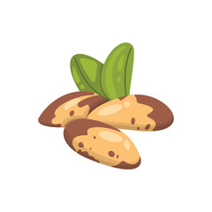 Brazil nut vector icon nuts in cartoon style. Vegan food collection.