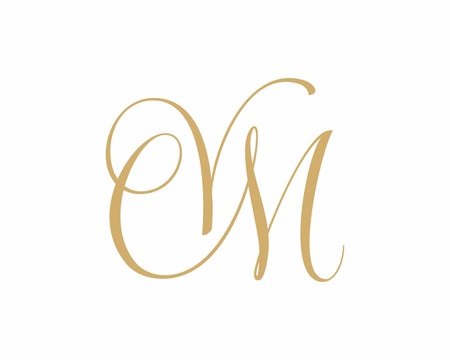 VM MV Letter Logo Icon 002