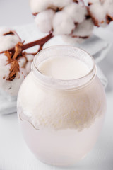 Sourdough for cheese, cottage cheese. Fermented products on a white background