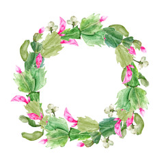 Fototapeta premium Christmas wreath with Zigokaktus Schlumbergera. Hand-drawn watercolor botanical illustration. Realistic isolated object on a white background for your design