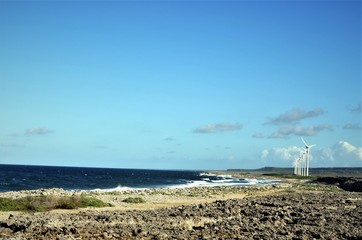 Bonaire East Coast 04