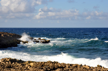 Bonaire East Coast 03