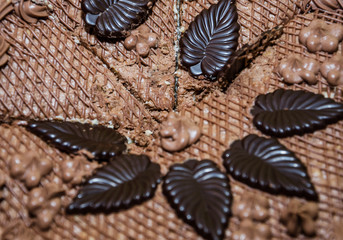 chocolate cake close-up. Cake for background.