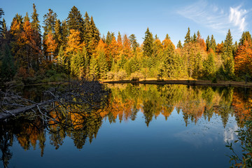 Forest lake in autumn colorful foliage