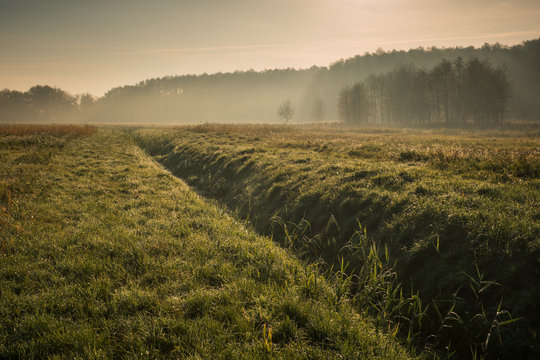 Morning in Oborskie Meadows, Konstancin Jeziorna, Poland