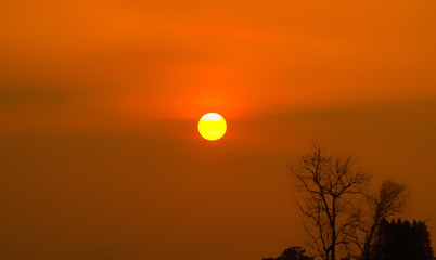 beautiful full sun with sunset sky.sky after the sunset or sunrise with dry tree.