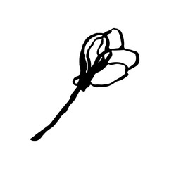 Cute hand drawn single sakura element. Traditional japanese or chinese spring flower in ink style. Doodle cherry plant.