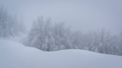 Picturesque winter landscape in the mountains