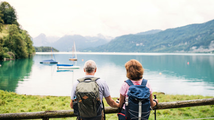 Fototapeta premium A rear view of senior pensioner couple standing by lake in nature.