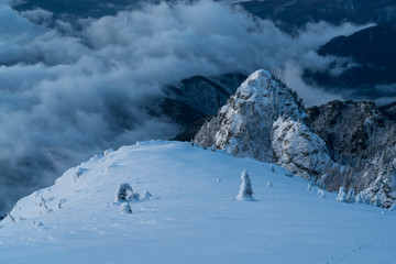 Heavy winter in the mountains with frozen trees and gorgeous minimalist shapes.