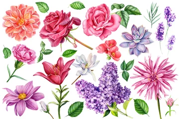 Behang set of flowersroses, lilies, carnations, lavender, succulent, dahlia, quince  on an isolated white background, watercolor illustration, botanical painting, hand drawing © Hanna