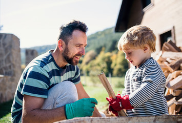 A father and toddler boy outdoors in summer, putting firewood in wheelbarrow.