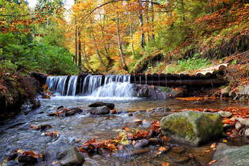 Plakat Beautiful landscape with a waterfall in the autumn forest. Autumn sunny day