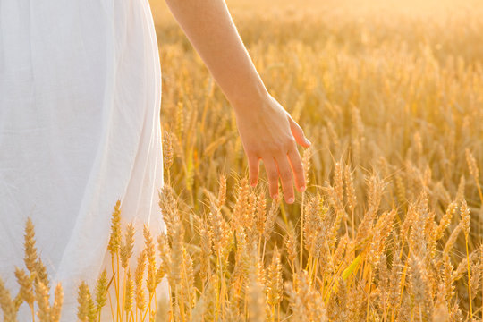 harvesting, nature, agriculture and prosperity concept - young woman on cereal field touching ripe wheat spickelets by her hand