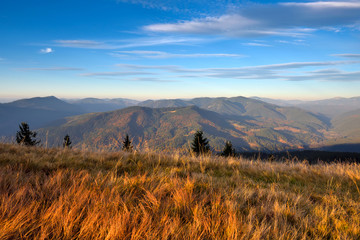 Amazing mountain landscape with colorful herbs. Evening light. Autumn landscape with mountain views. Carpathian, Ukraine, Europe