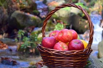 red apples in a basket