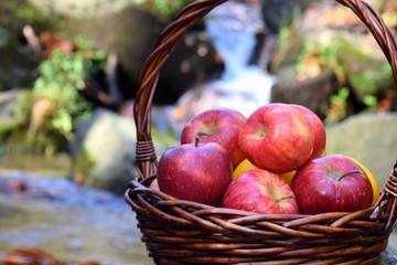 red apples in a basket