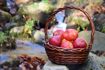 red apples in a basket