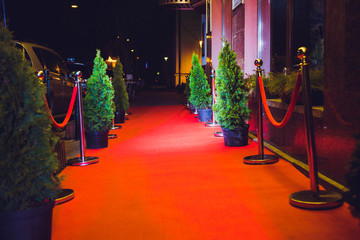 Red Carpet for cinema awards and Fashion Awards ceremony for celebrities persons