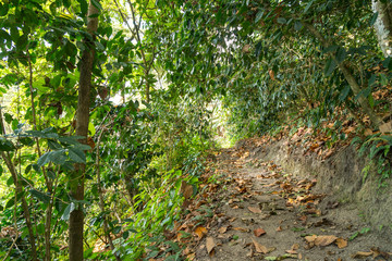 Sierra Nevada de Santa Marta