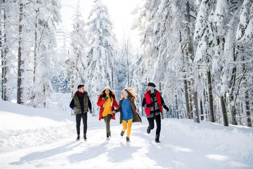 A group of young friends on a walk outdoors in snow in winter forest.
