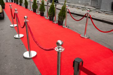 Red Carpet for cinema awards and Fashion Awards ceremony for celebrities persons