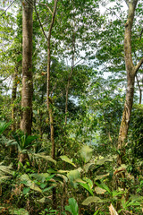 Sierra Nevada de Santa Marta