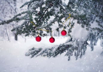 Christmas tree covered by snow with red ball ornament