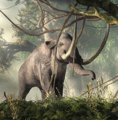 The Columbian Mammoth is an extinct animal that inhabited warmer regions of North America during the Pleistocene. Depicted on in a dense jungle. 3D rendering © Daniel Eskridge