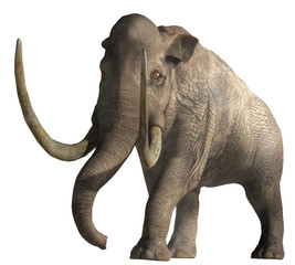 The Columbian Mammoth is an extinct animal that inhabited warmer regions of North America during the Pleistocene. Depicted on a white background. 3D rendering