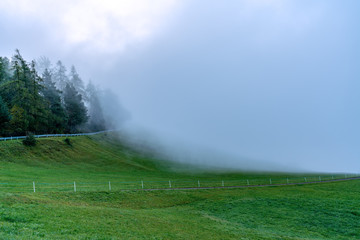Dense fog suddenly ascendig from the valley on a mountain meadow