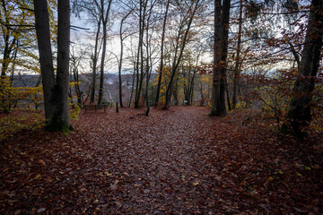 Obraz premium Oberes Donautal im Herbst