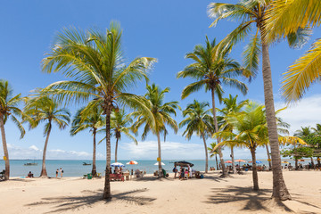 Fototapeta na wymiar Tropical beach, palm trees and white sand, Coroa Vermelha, Porto Seguro, Bahia, Brazil