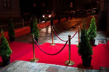 Red Carpet for cinema awards and Fashion Awards ceremony for celebrities persons