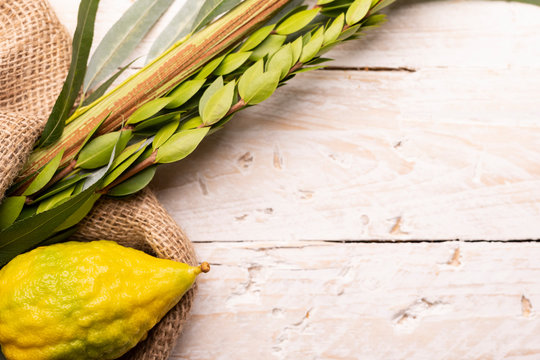 Composition of Sukkot symbols: palm, willow, myrtle, etrog. Lulav on jute fabric and wood background with a copy space.