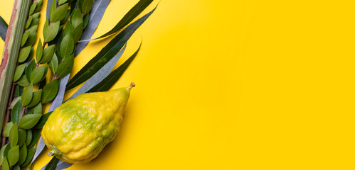 Sukkot festival symbols: palm, willow, myrtle, etrog. Horizontal banner with a lulav on a yellow background, copy space.