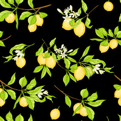 Lemon tree branch with lemons, flowers and leaves. Seamless pattern, background. Colored vector illustration. Isolated on black background..