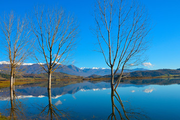 Obraz premium Riflessi