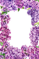 frame of lilac flowers on an isolated white background, watercolor illustration, botanical painting, hand drawing