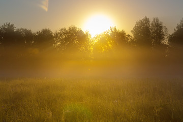 Fototapeta premium Unusual river fog in summer season