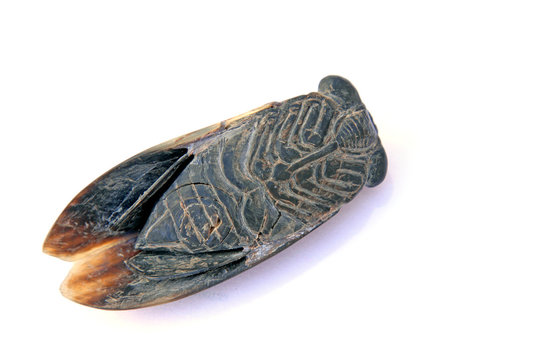 Ox horn sculptures works